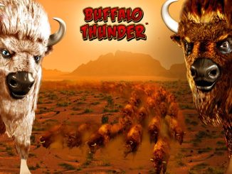 Slot vlt Buffalo Thunder gratis