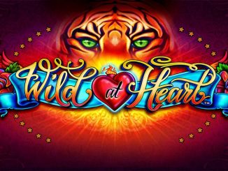 slot online wild at heart